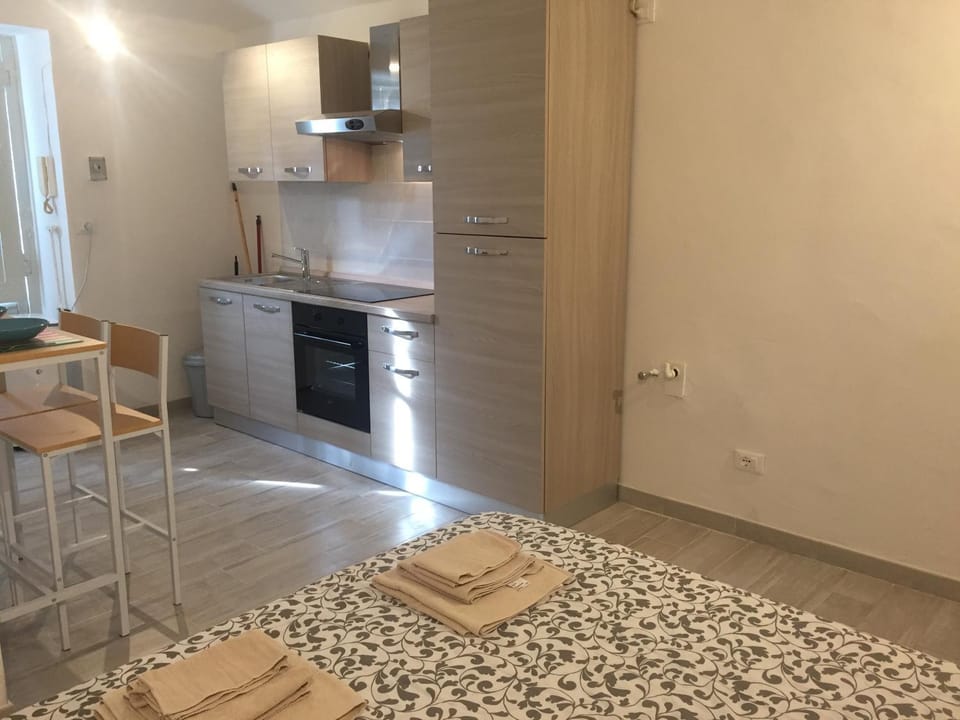 Monolocale via Berthollet 6 Apartment in Turin