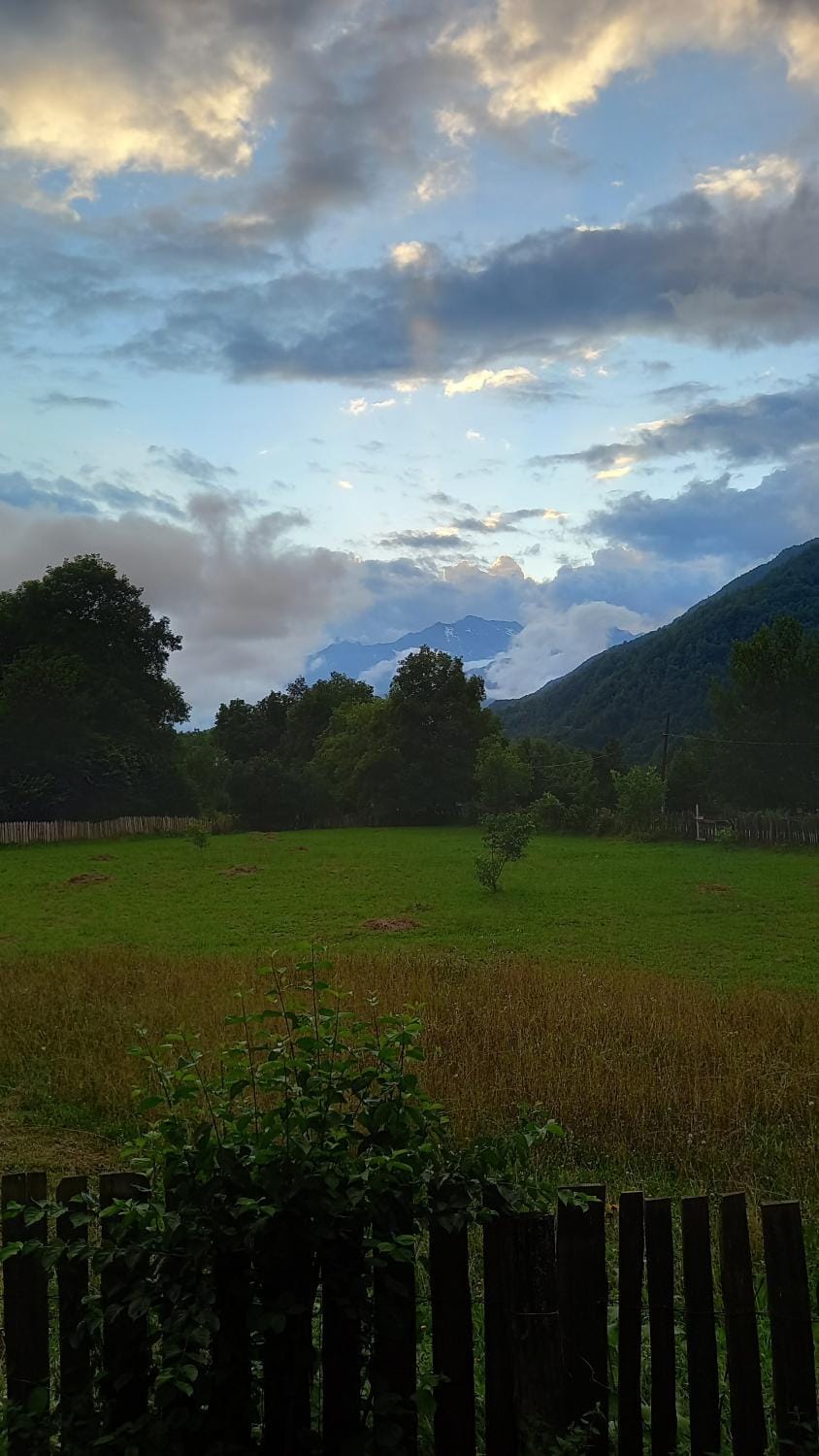 Natural landscape, Garden view