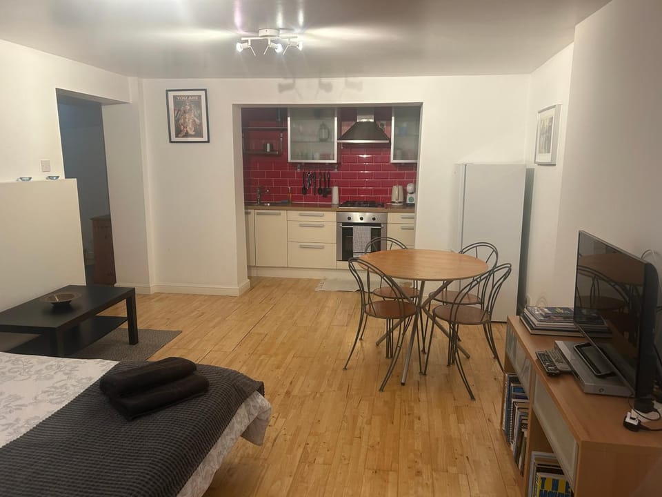 Cozy 1 Bedroom Basement Flat Apartment in London Borough of Camden