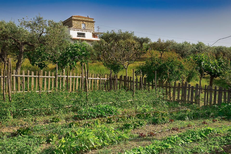 Impietra House in Campania