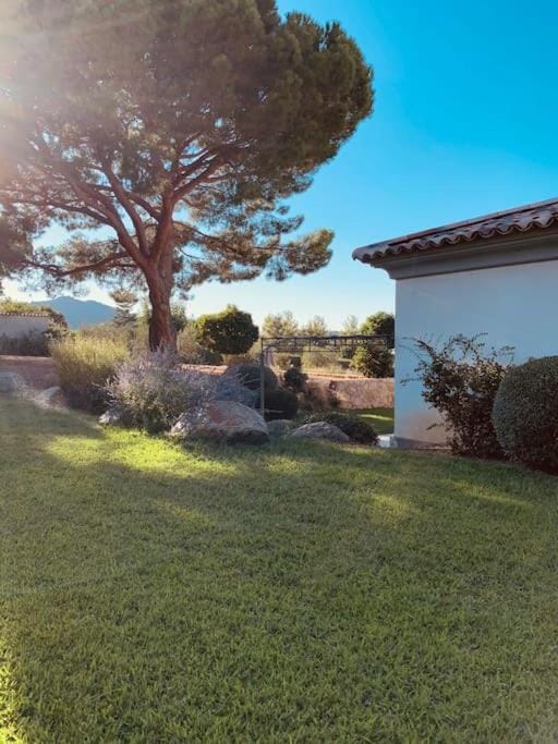 Cantari Villa in Corsica