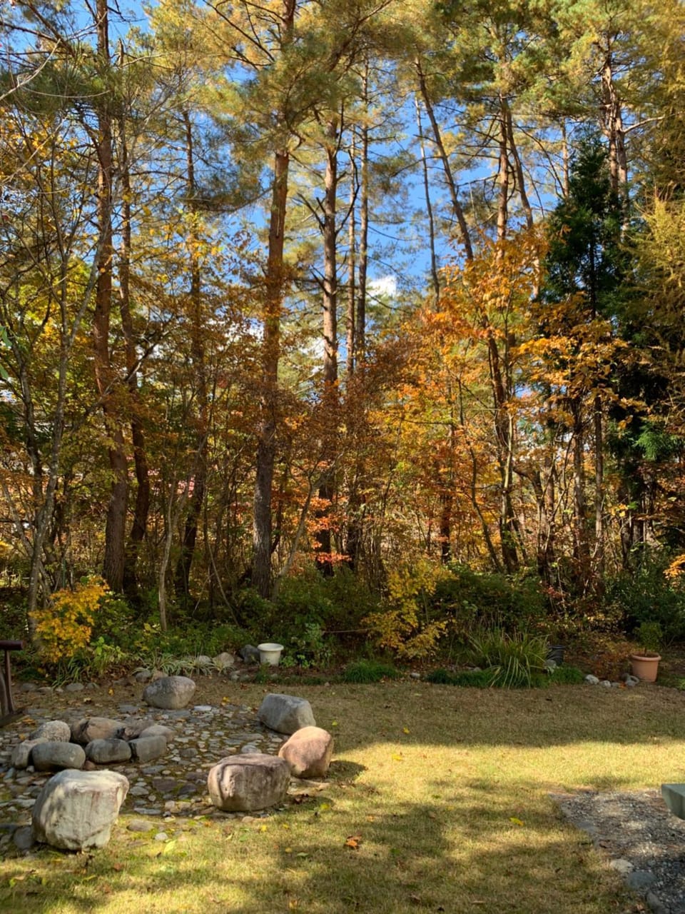 Garden view