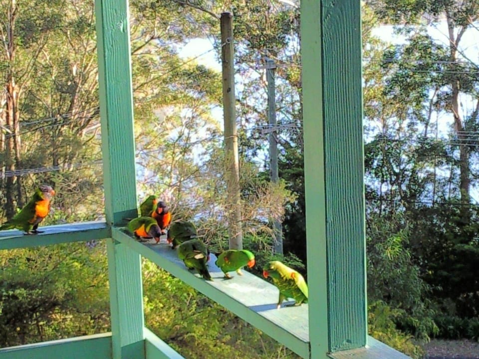 Fyshwicks Cottage House in Smiths Lake
