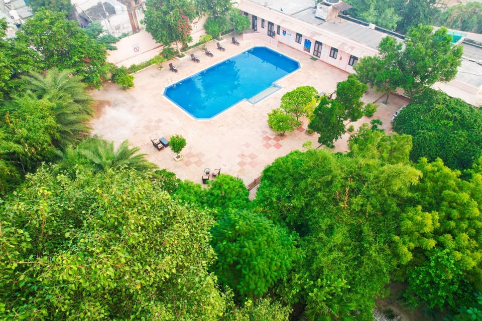 Natural landscape, Bird's eye view, Pool view, Swimming pool