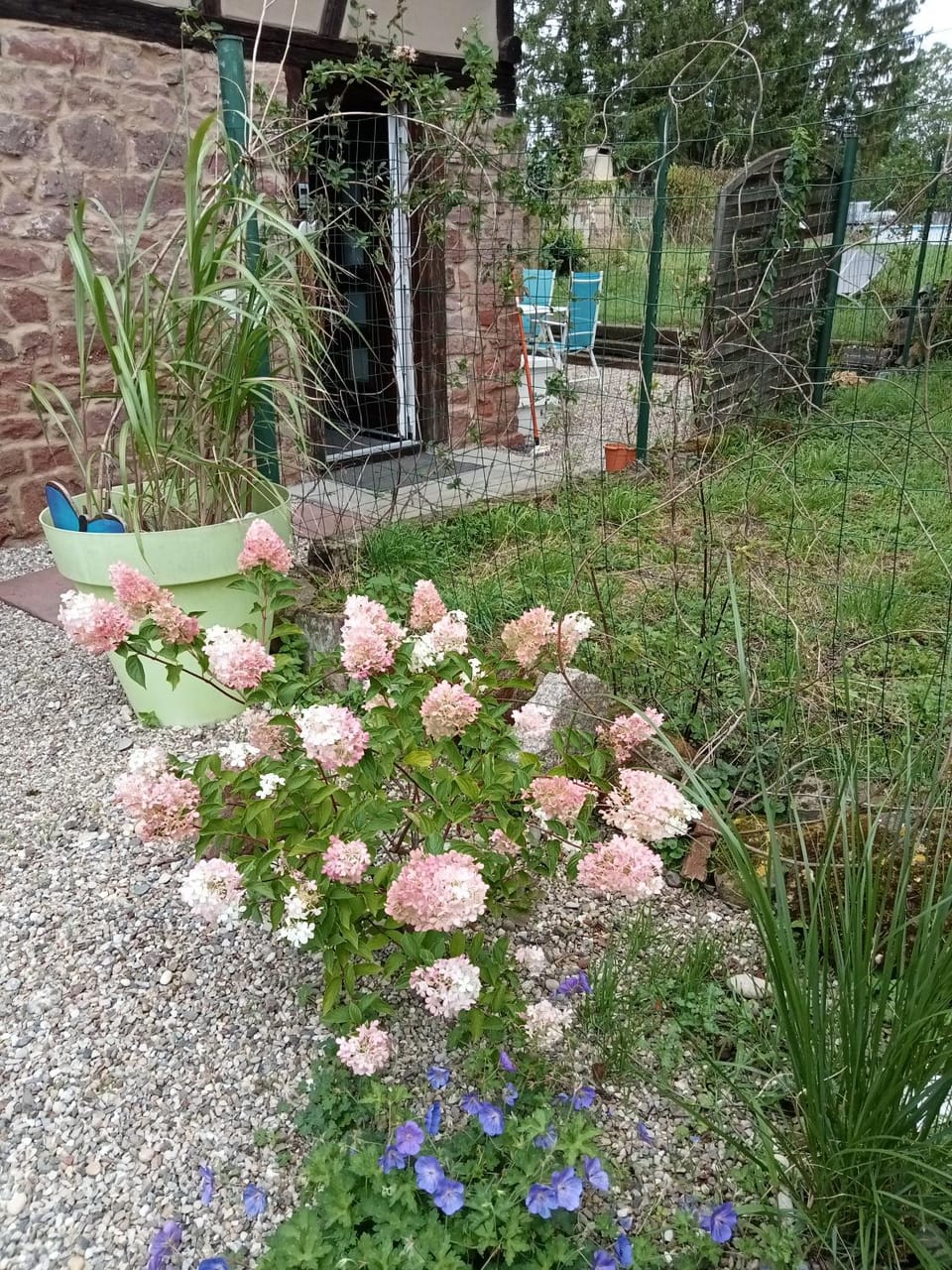 Garden view