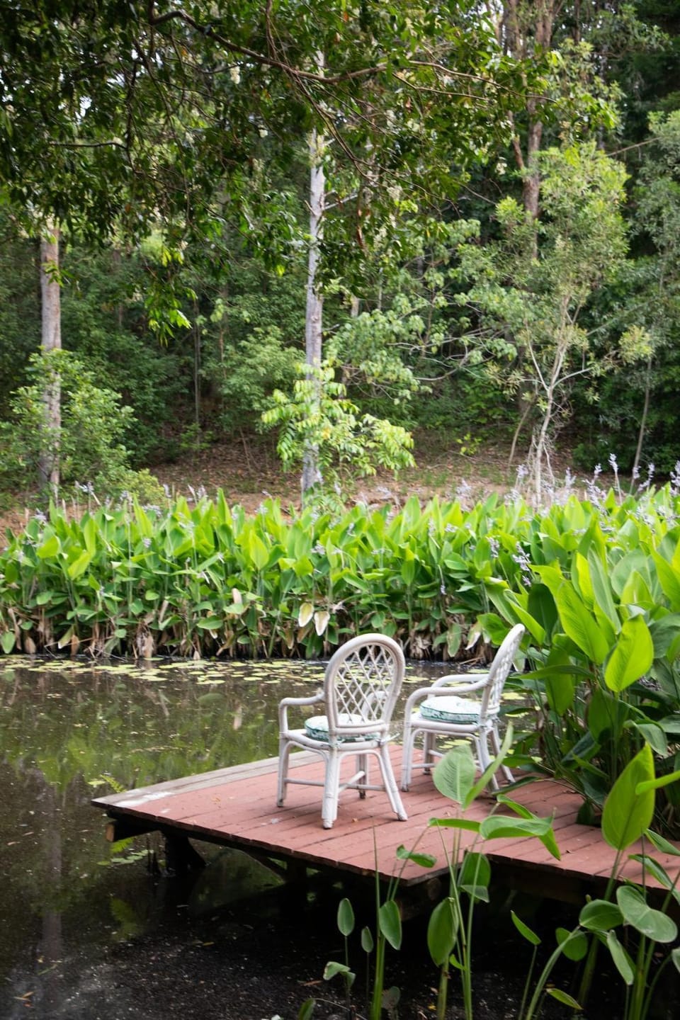 Magnolia Cottage House in Eumundi
