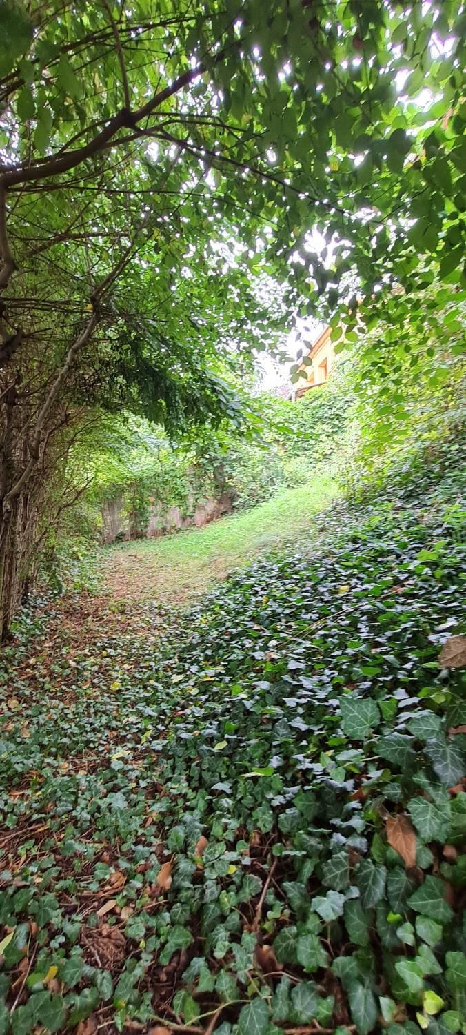 Natural landscape