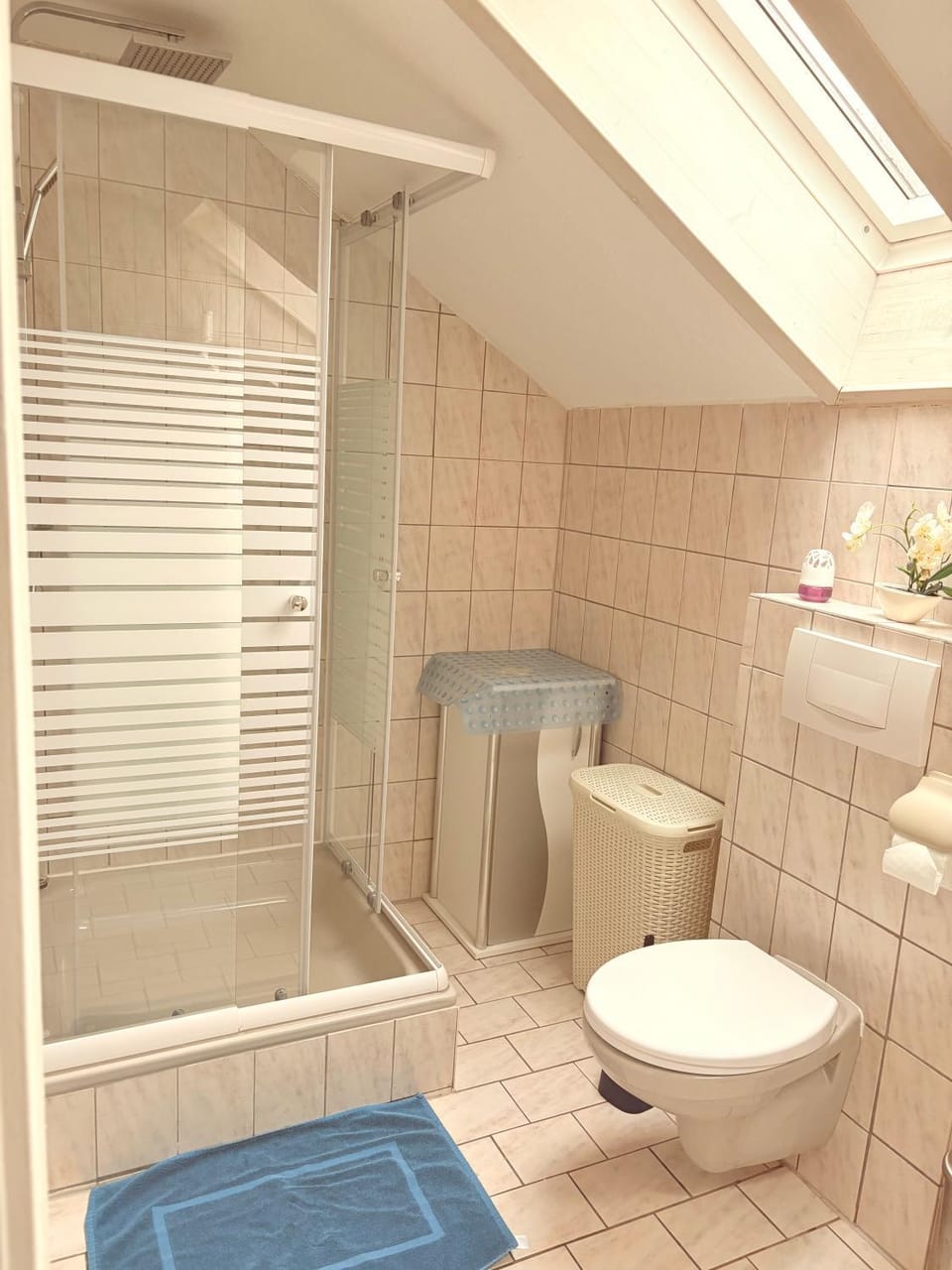 Shower, Toilet, Bathroom