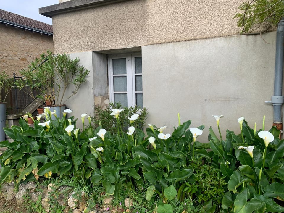 Appartement Les Acanthes 2ch Poitiers centre Apartment in Poitiers