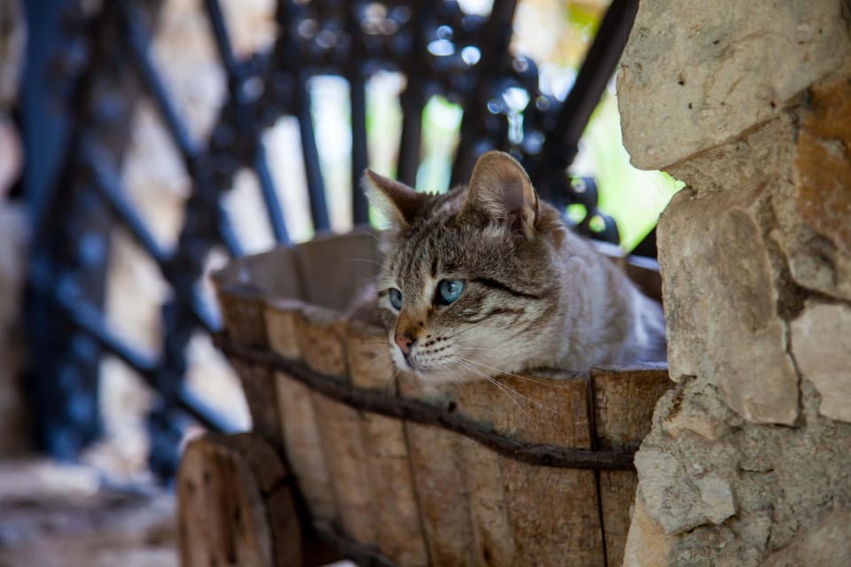 Casa Go'El Bed and Breakfast in Sicily