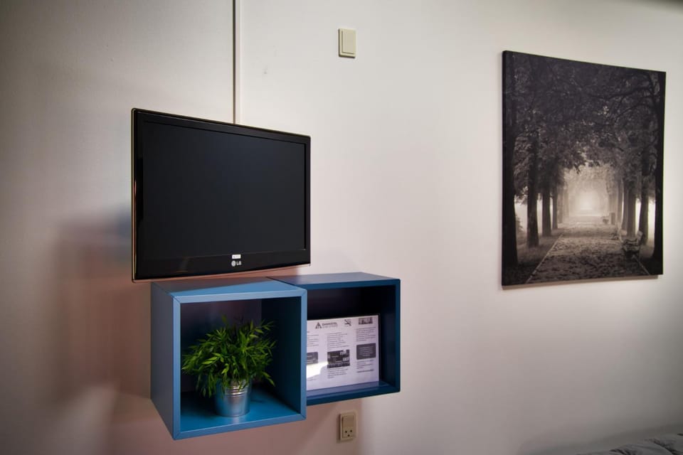TV and multimedia