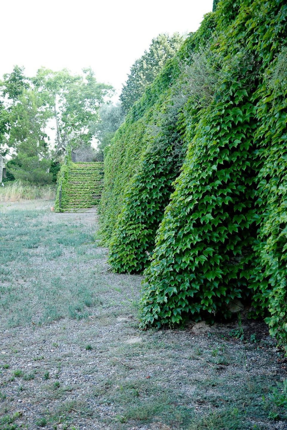 Mas del Molí Country House in Reus