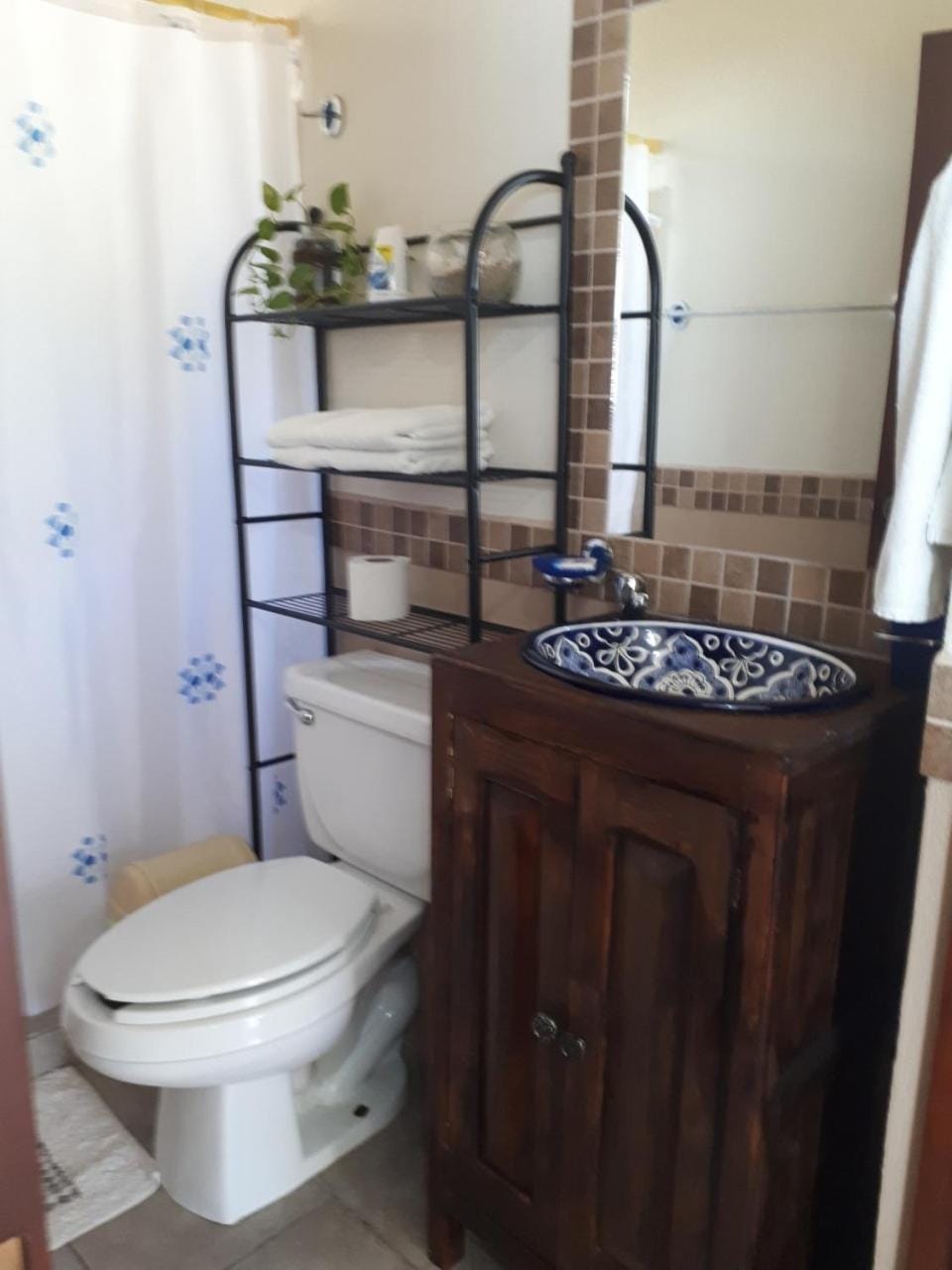 Toilet, Bathroom