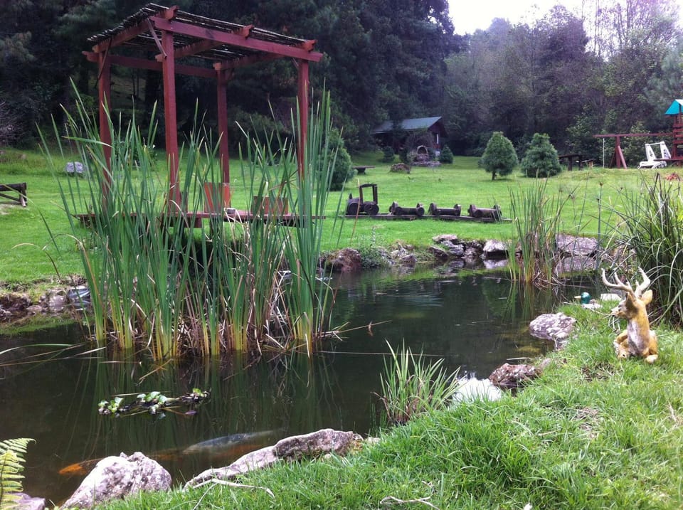 Property building, Garden view