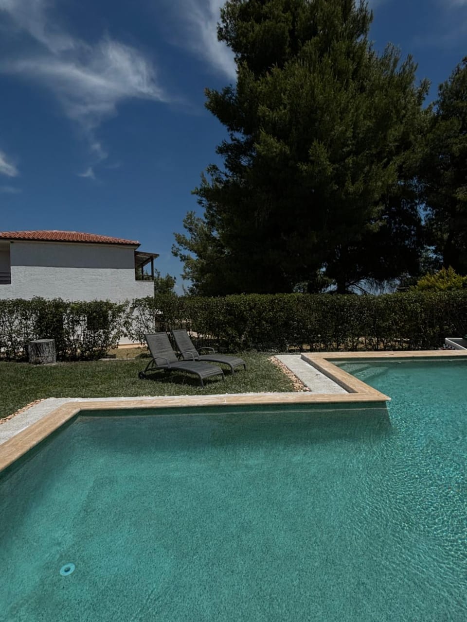 Garden, Swimming pool, sunbed