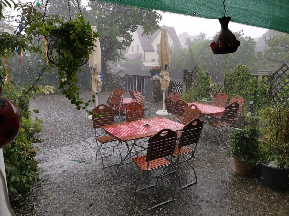 Patio, Garden
