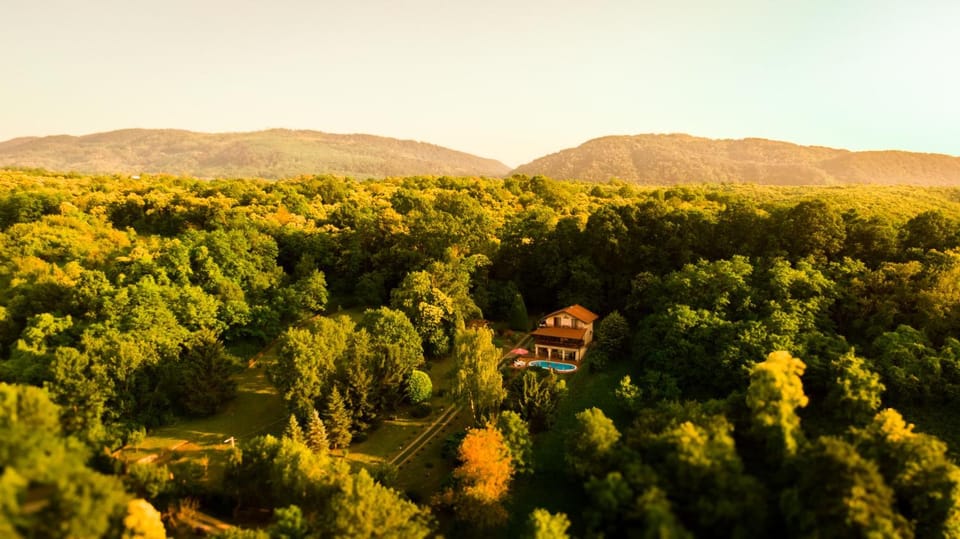 Property building, Bird's eye view