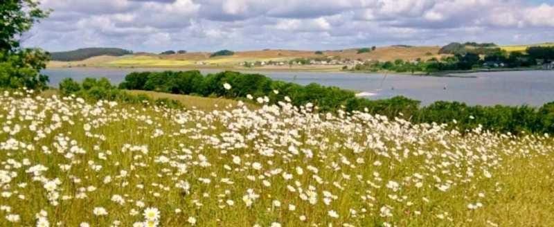 Natural landscape