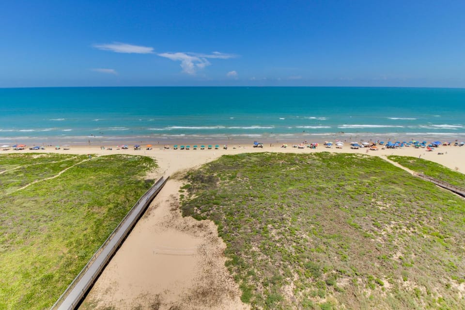 Ocean Vista #102 Apartment in South Padre Island