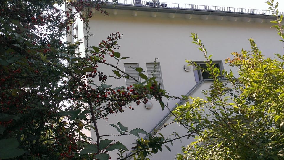 Petite Bellevue II Vacation rental in Baden-Baden