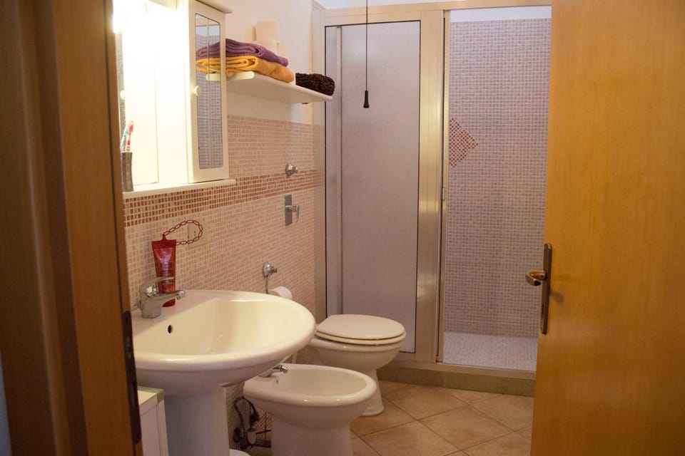 Shower, Toilet, Bathroom, bidet