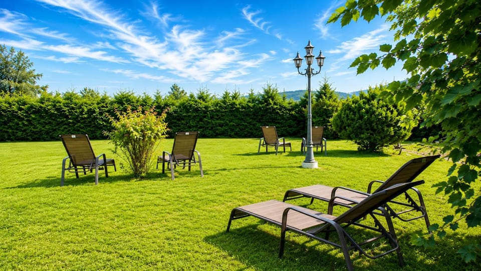 Natural landscape, Activities, Garden, Garden view, sunbed