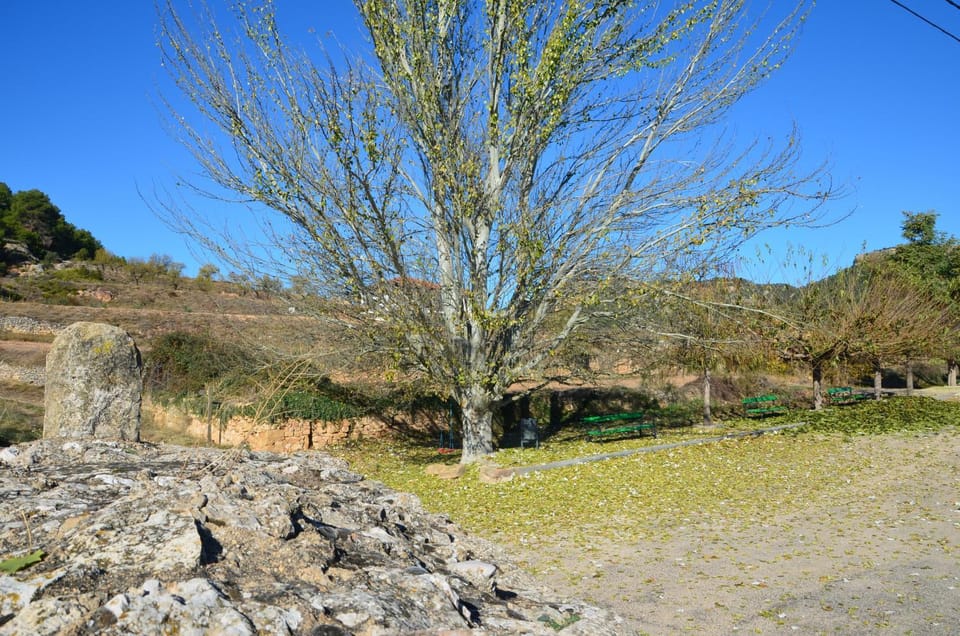 Natural landscape