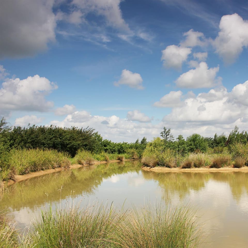Natural landscape, Summer, On site