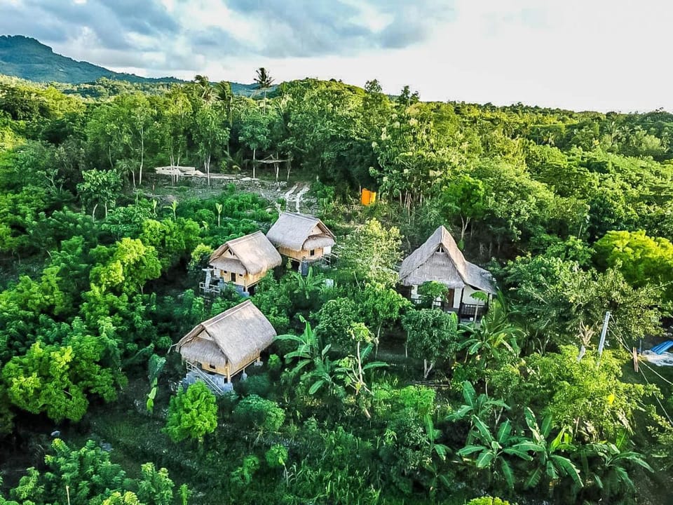 Property building, Bird's eye view