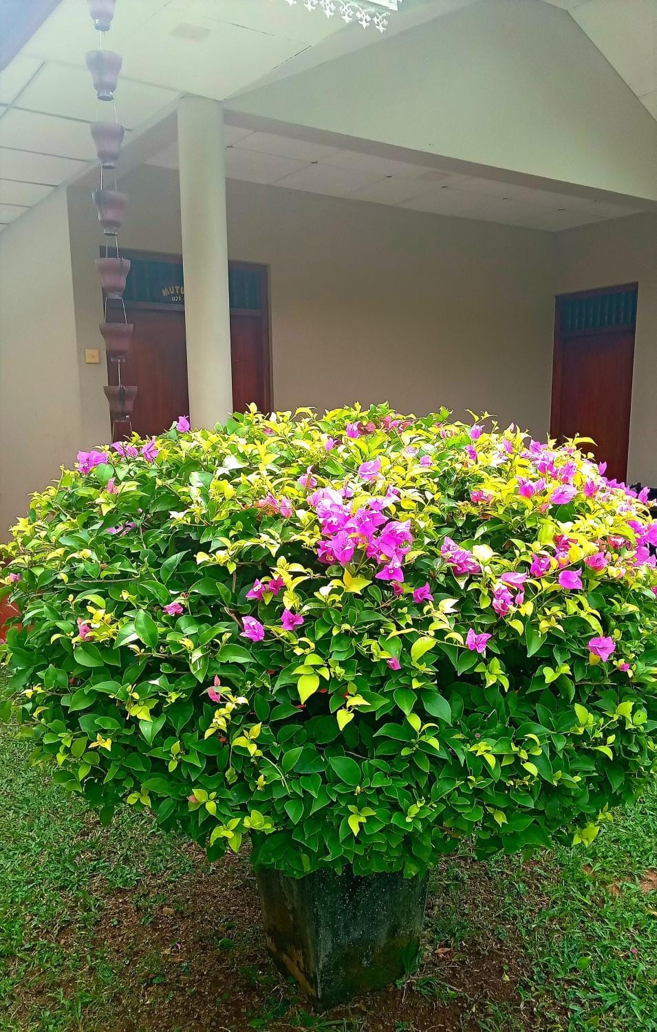 Mutu villa Apartment in Southern Province