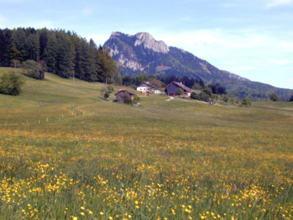 Natural landscape