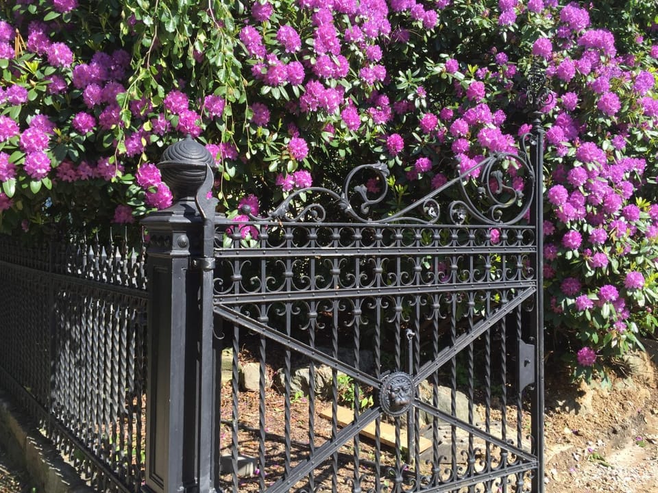 Facade/entrance, Summer