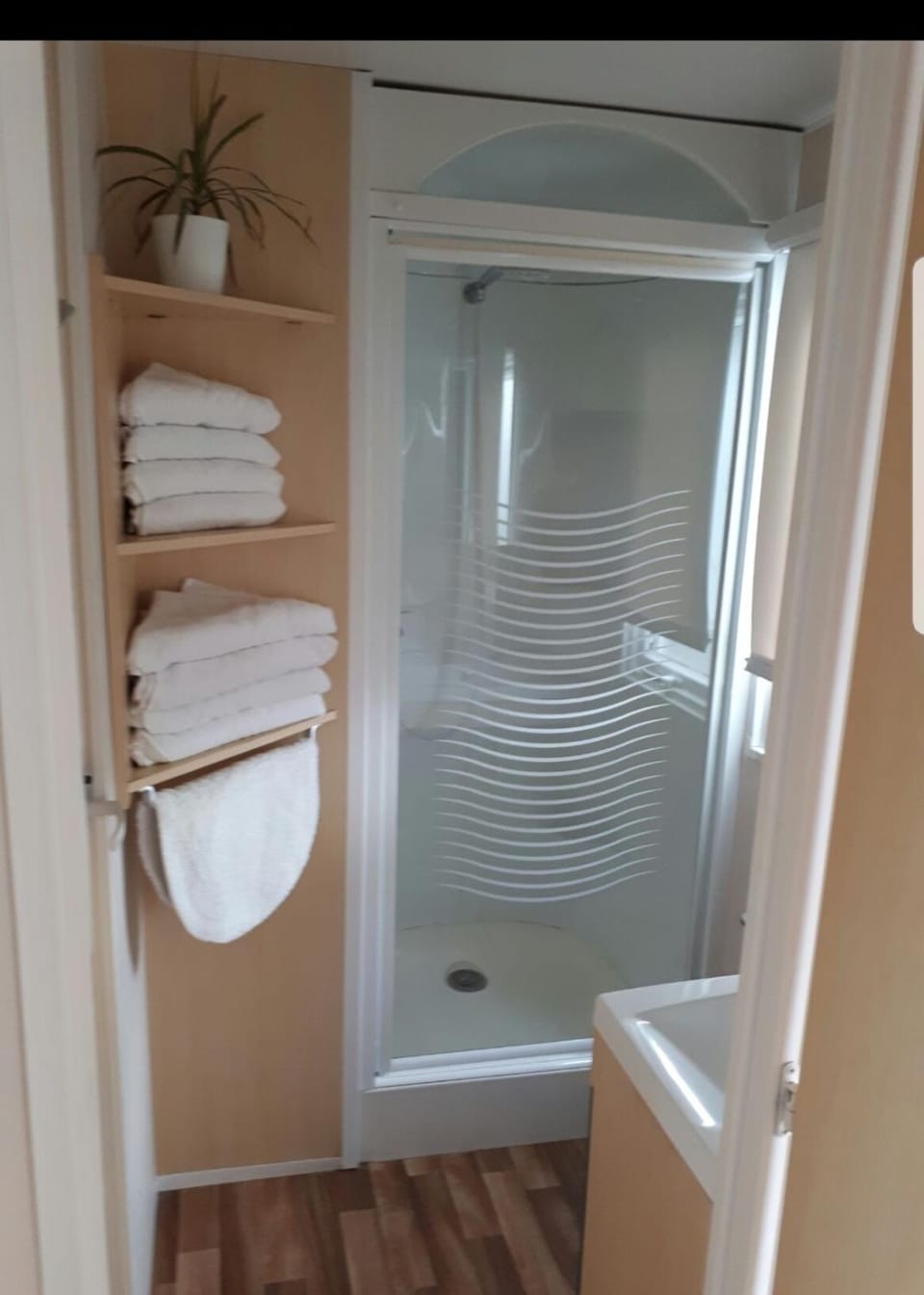 Shower, Bathroom