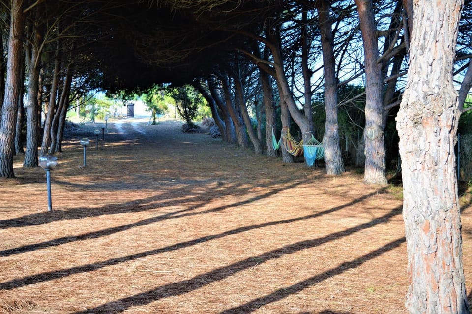 Pineta Spiaggia Grande 2 House in Sardinia