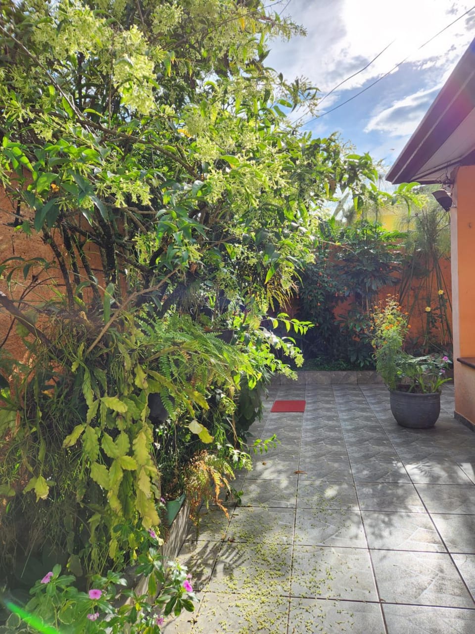 Garden view