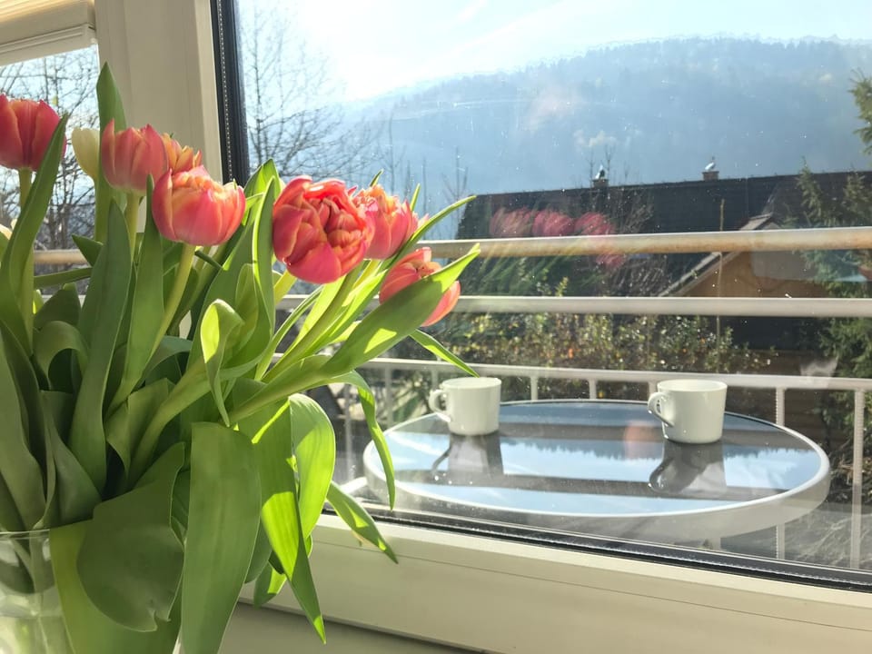 Balcony/Terrace, Mountain view