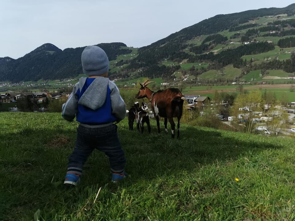 Pets, children