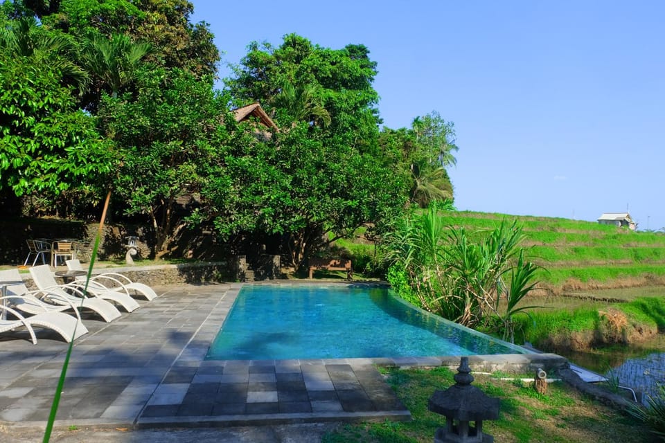 Swimming pool, sunbed