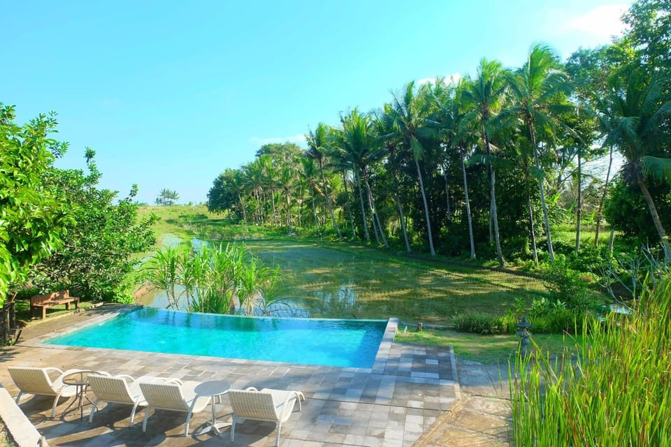 Natural landscape, Pool view, Swimming pool