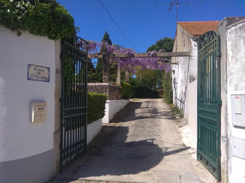 Facade/entrance, Street view