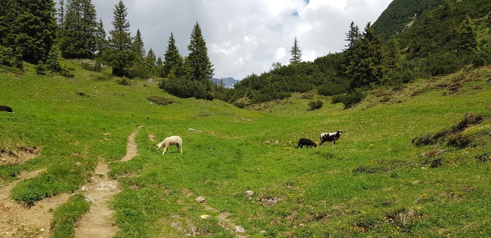 Hiking, Cycling