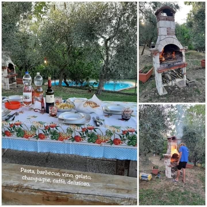 Podere Leporino Apartment in Tuscany