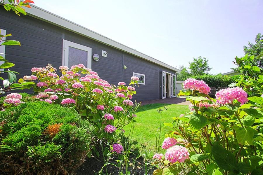 Property building, Garden, Garden view