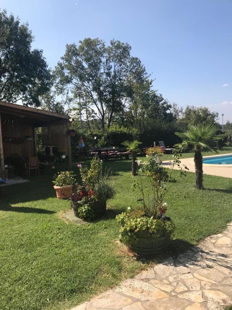 BBQ facilities, Garden