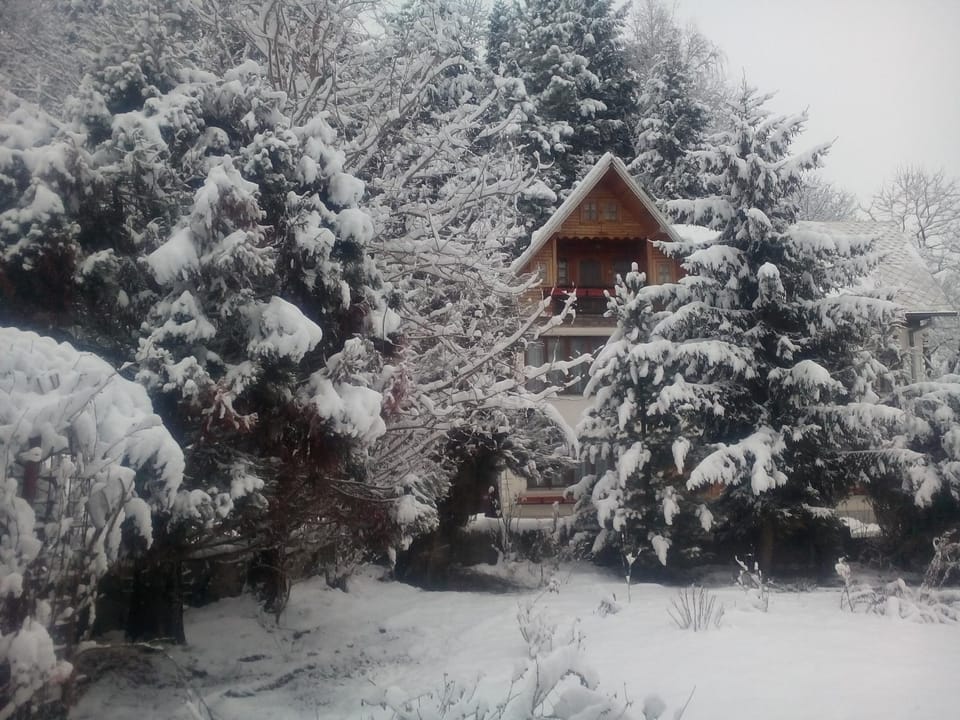 Winter