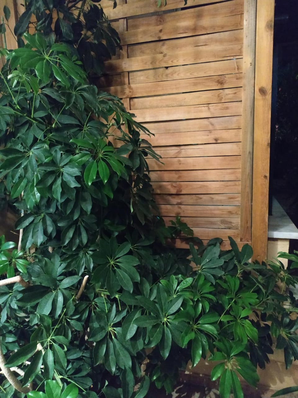 Elena 1 Apartment in Kavala