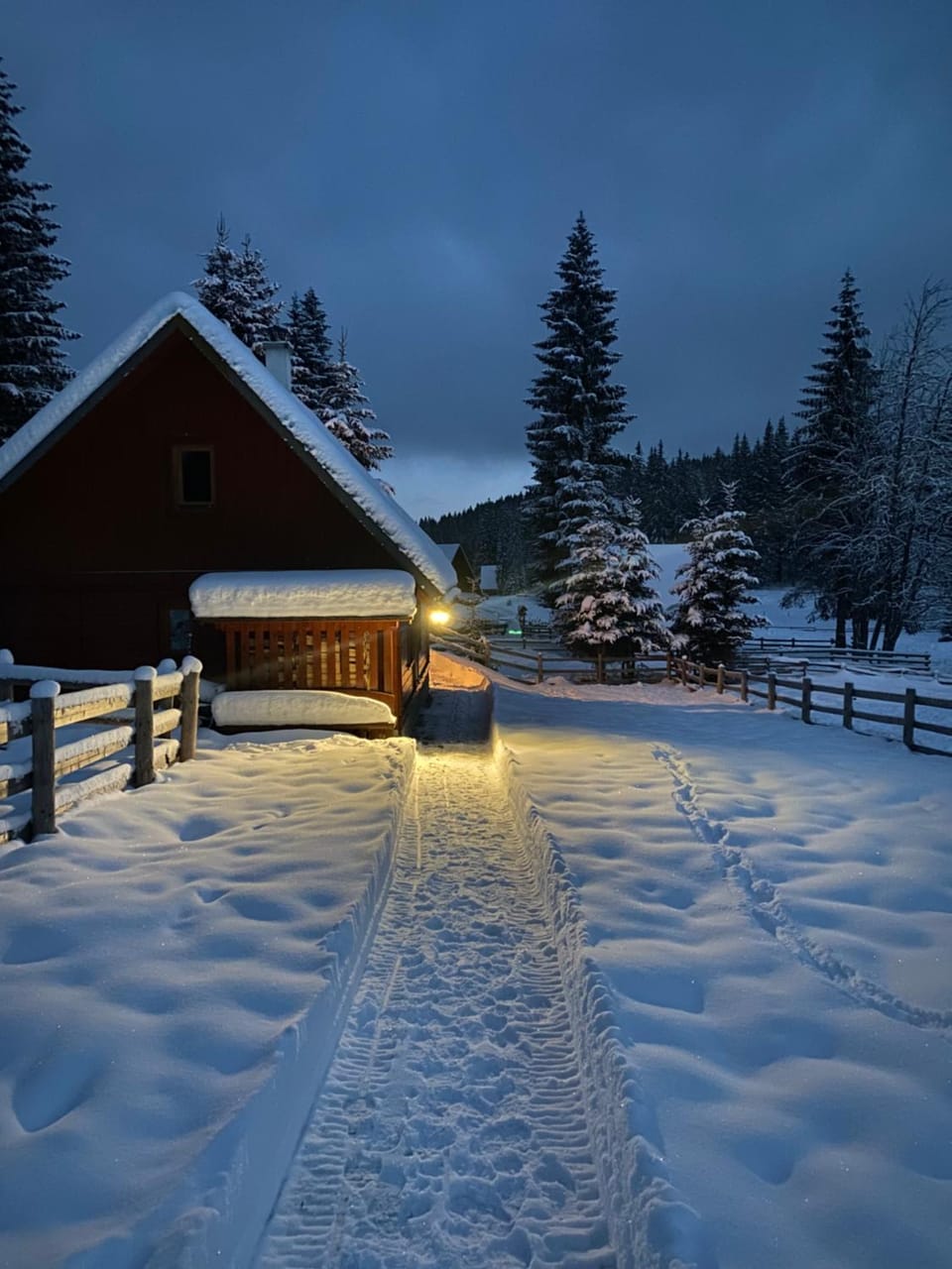 Cosy Chalet on Pokljuka - Brunarica Tinkara Chalet in Slovenia