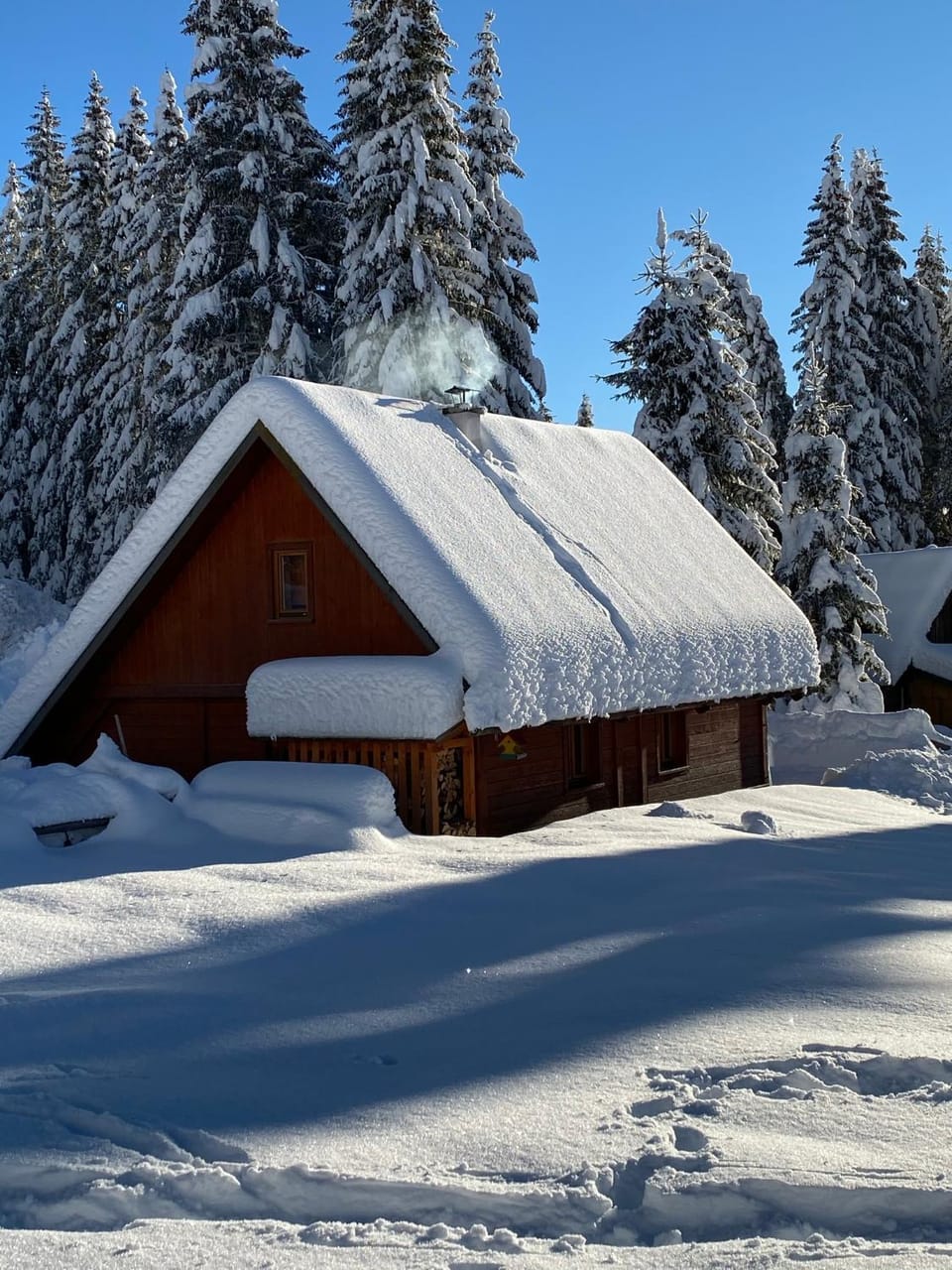 Cosy Chalet on Pokljuka - Brunarica Tinkara Chalet in Slovenia