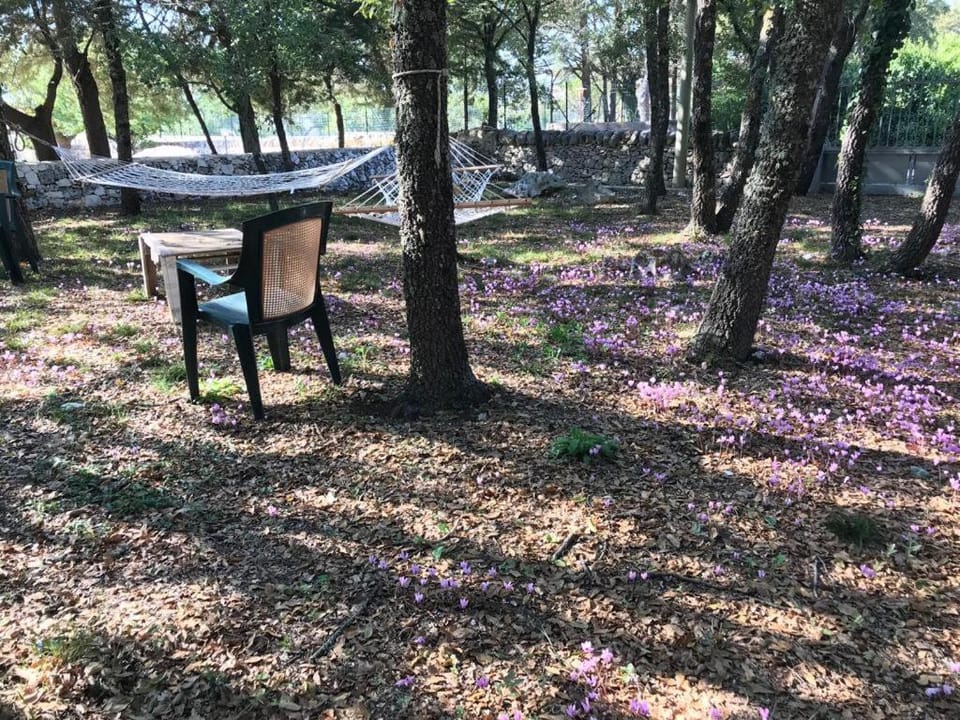 Villa Venus Woods Bed and Breakfast in Province of Taranto
