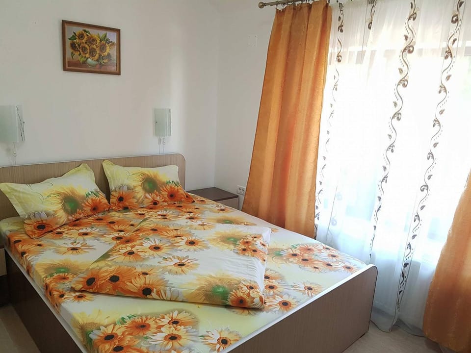 Onalisa Bed and Breakfast in Romania
